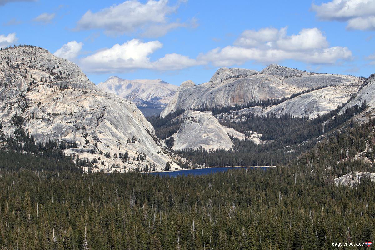 Yosemite National Park