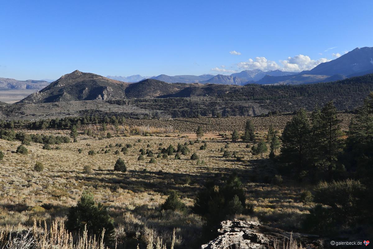 Log Cabin Wilderness