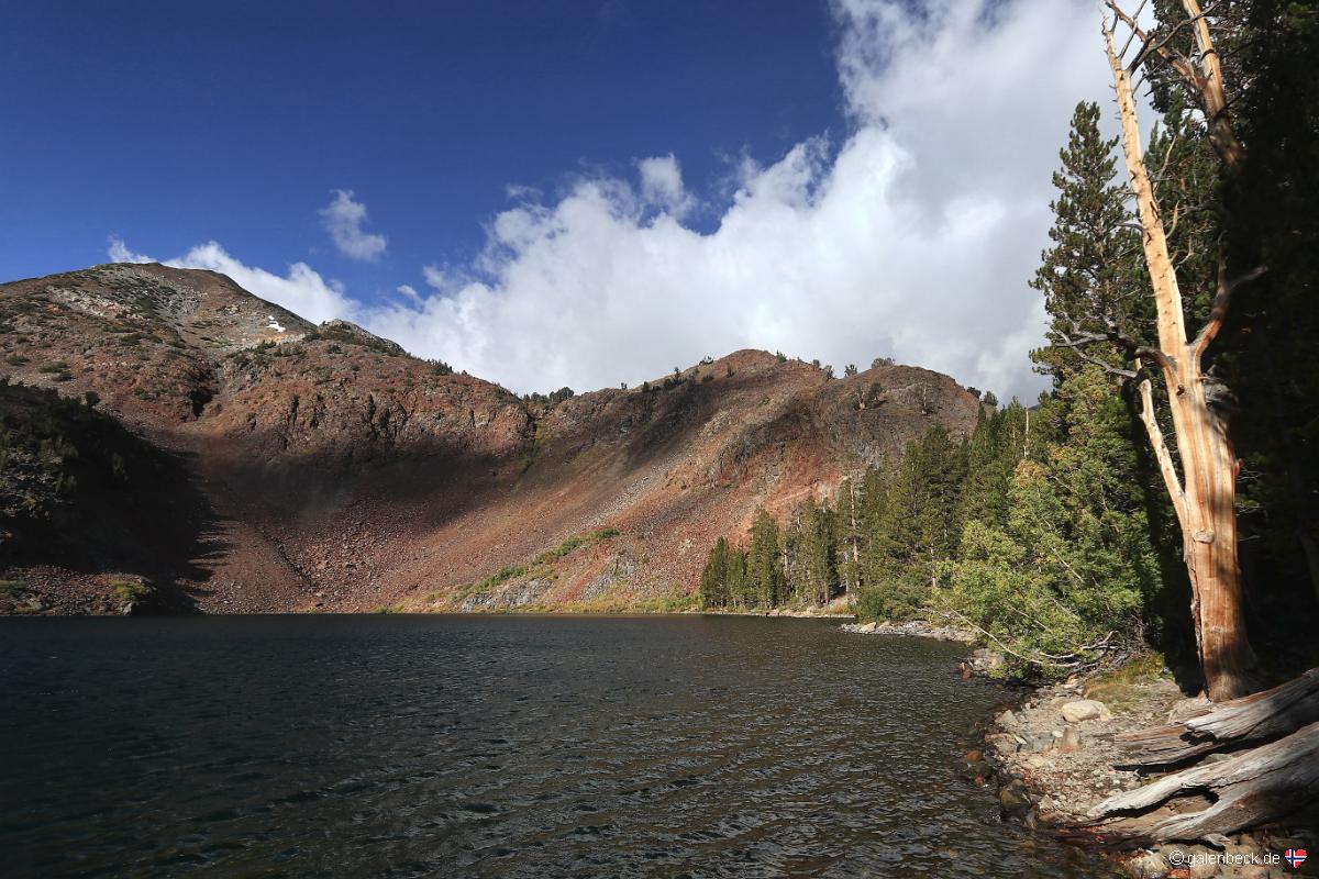 Virginia Lake