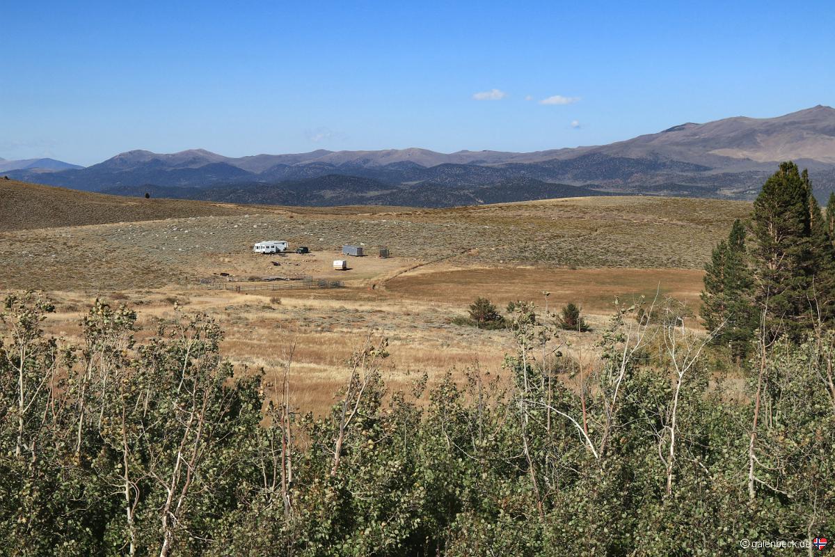 Dunderberg Meadow
