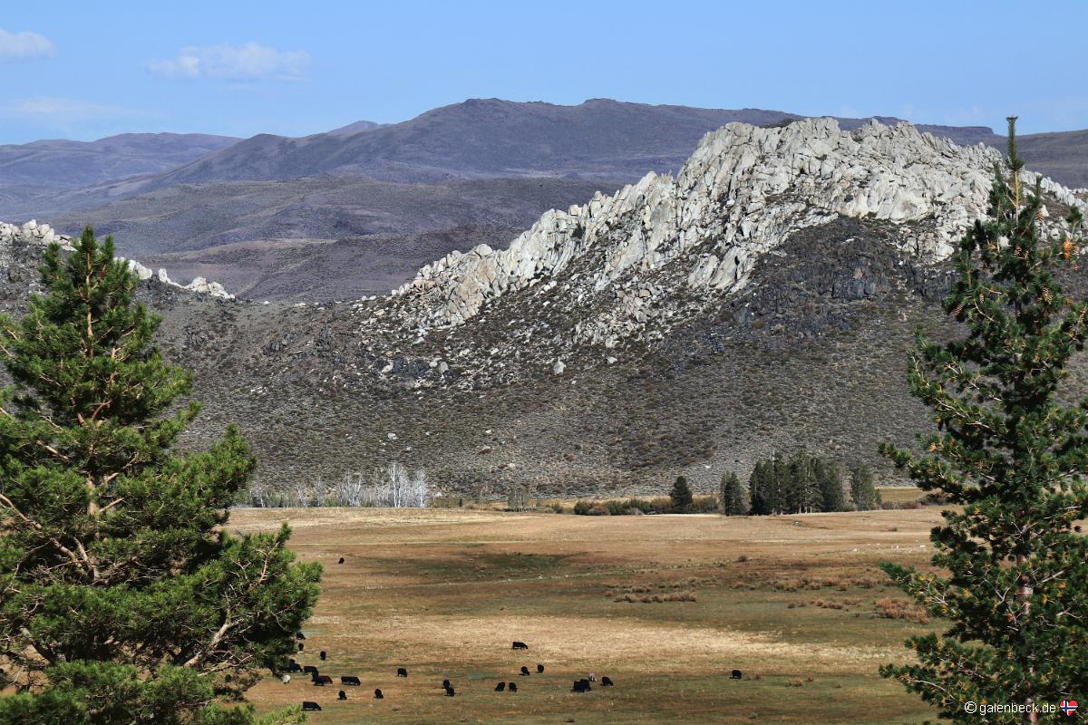 Dunderberg Meadow