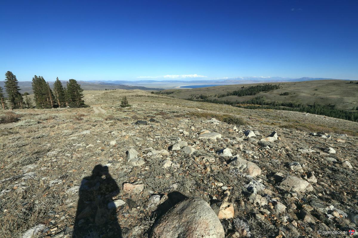 Dunderberg Meadow