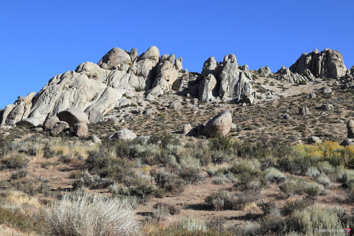 Buttermilks
