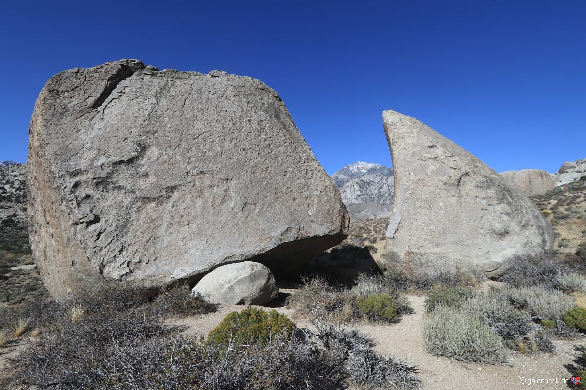 Buttermilks