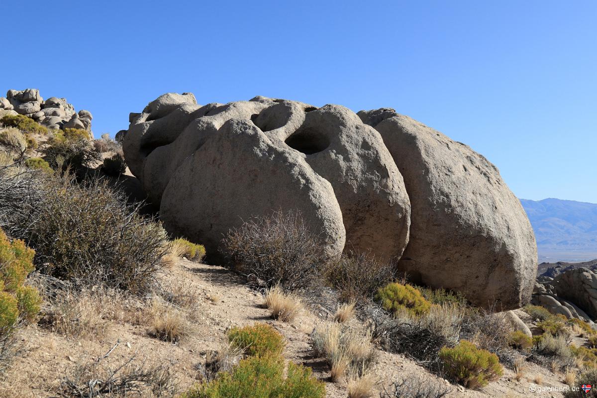 Buttermilks