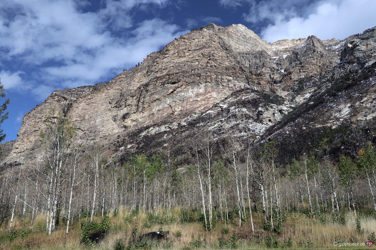Lamoille Canyon