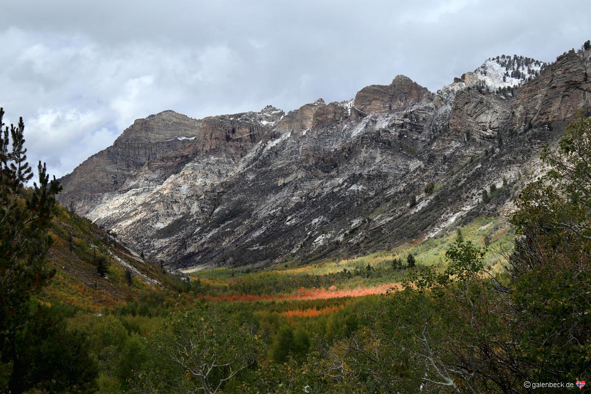 Lamoille Canyon