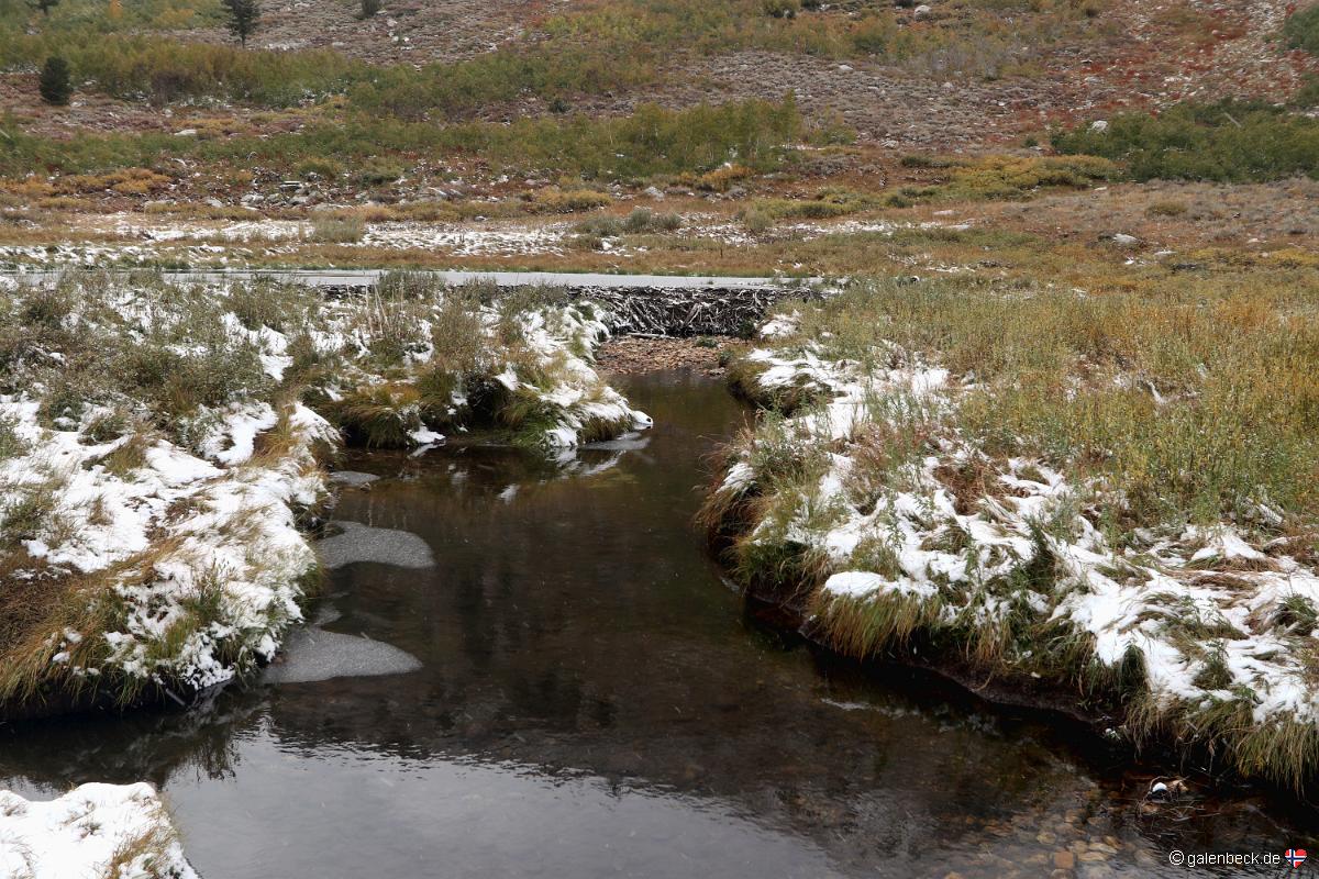 Lamoille Canyon