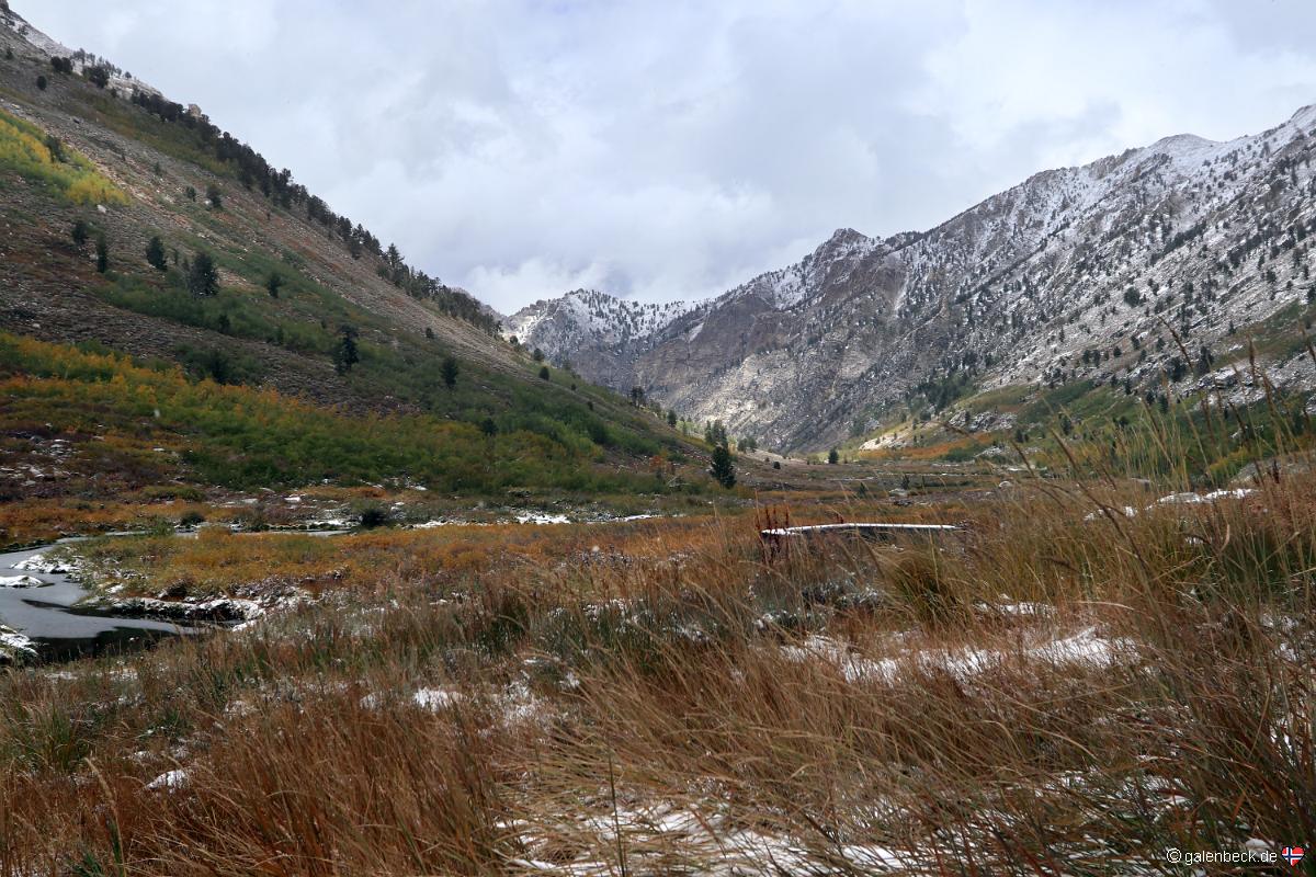 Lamoille Canyon