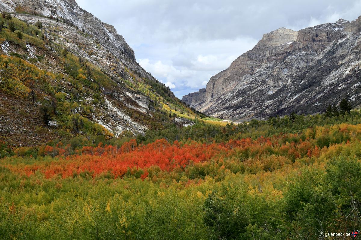 Lamoille Canyon