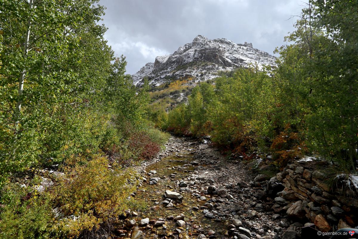 Lamoille Canyon