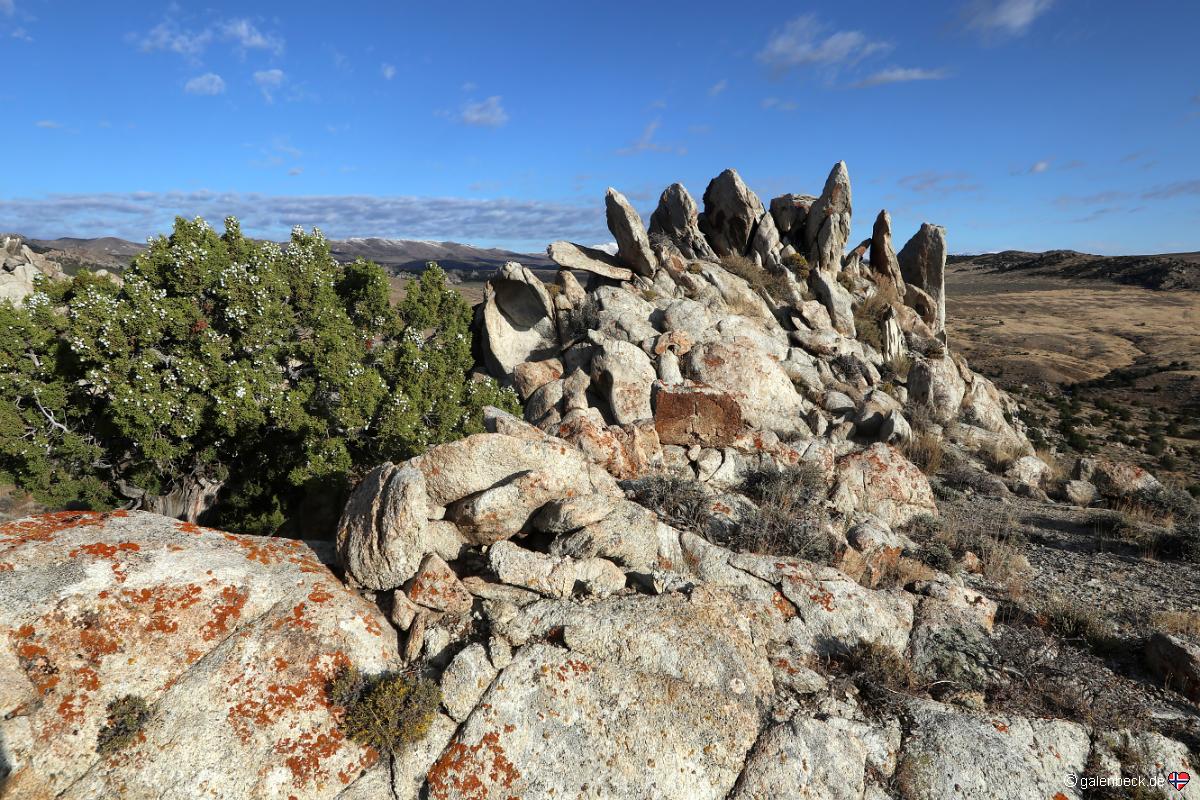 Devils Playground