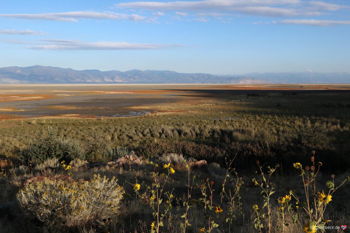 Antelope Island State Park