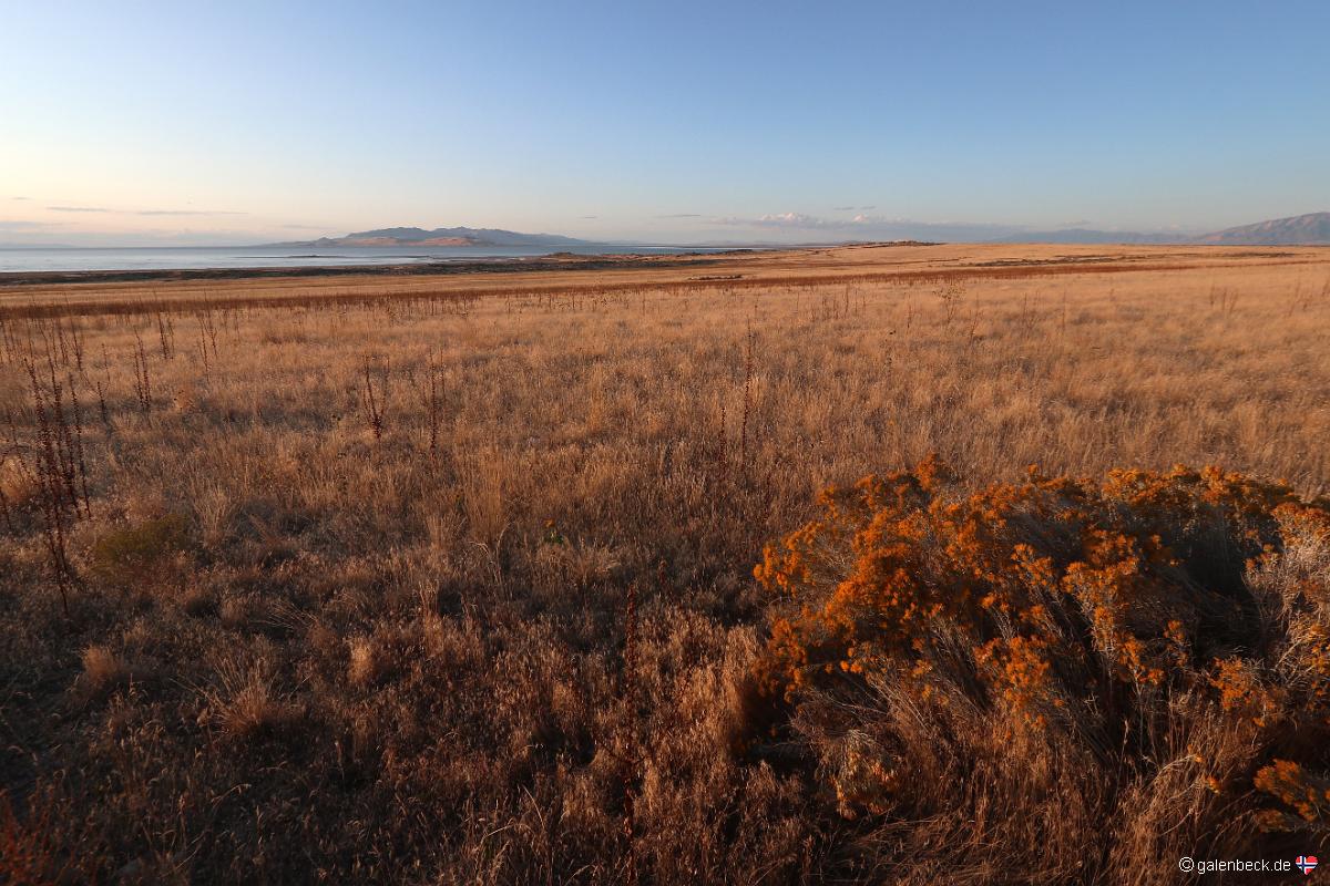 Antelope Island State Park