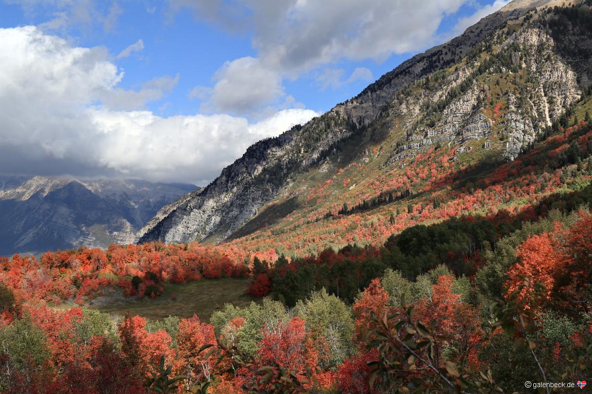 Squaw Peak Road