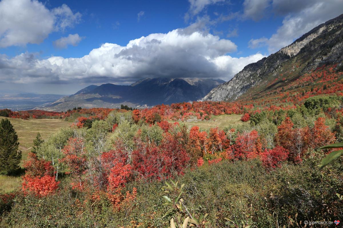 Squaw Peak Road