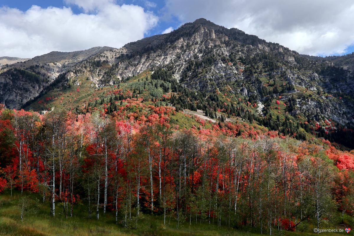 Squaw Peak Road