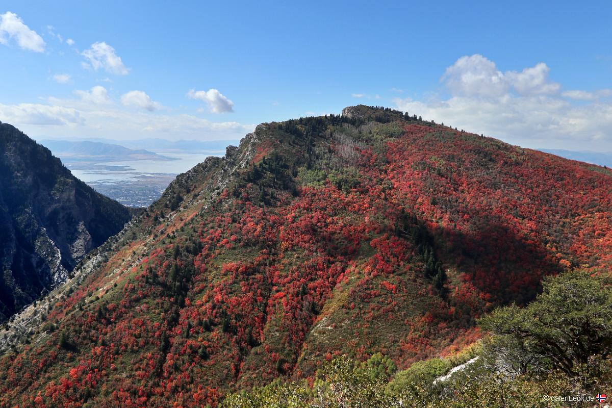Squaw Peak Road