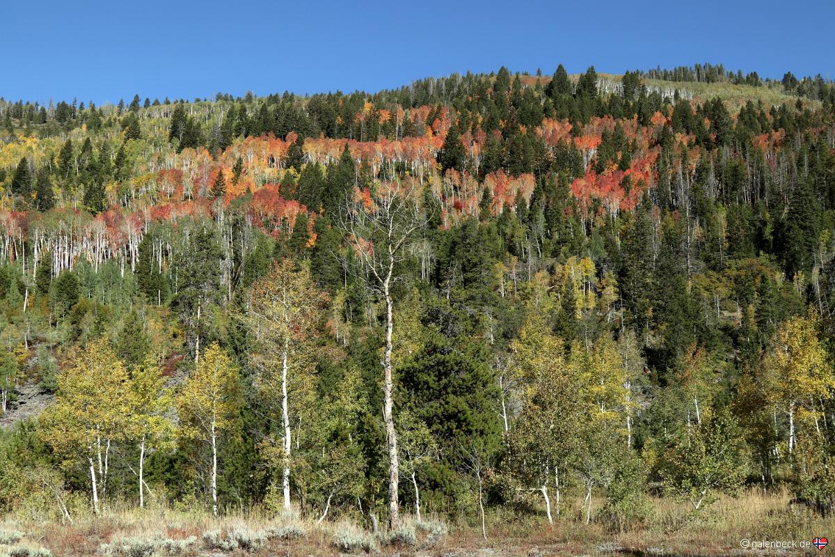 Mirror Lake Scenic Byway