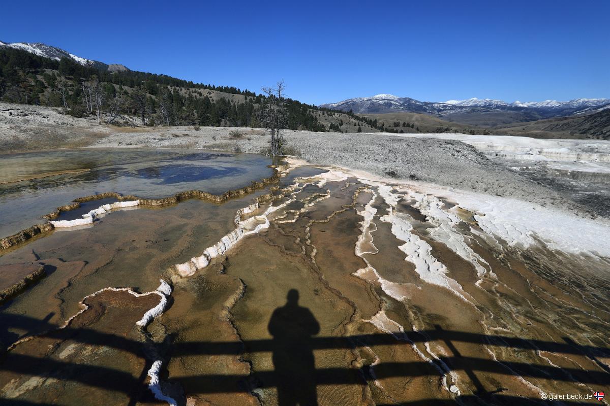 Yellowstone National Park