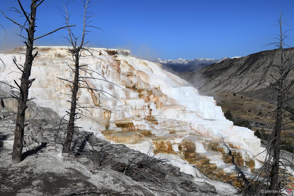 Yellowstone National Park