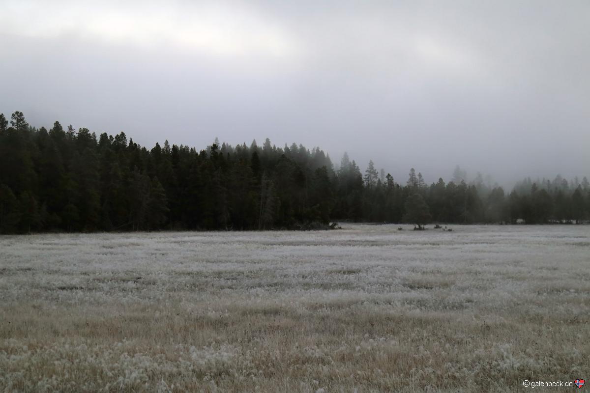 Yellowstone National Park