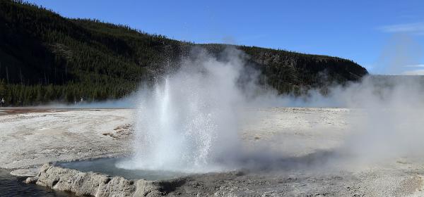 215