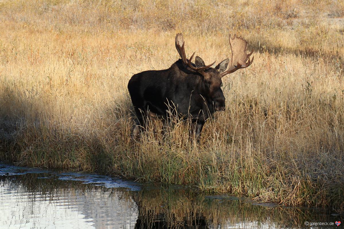 Grand Teton National Park