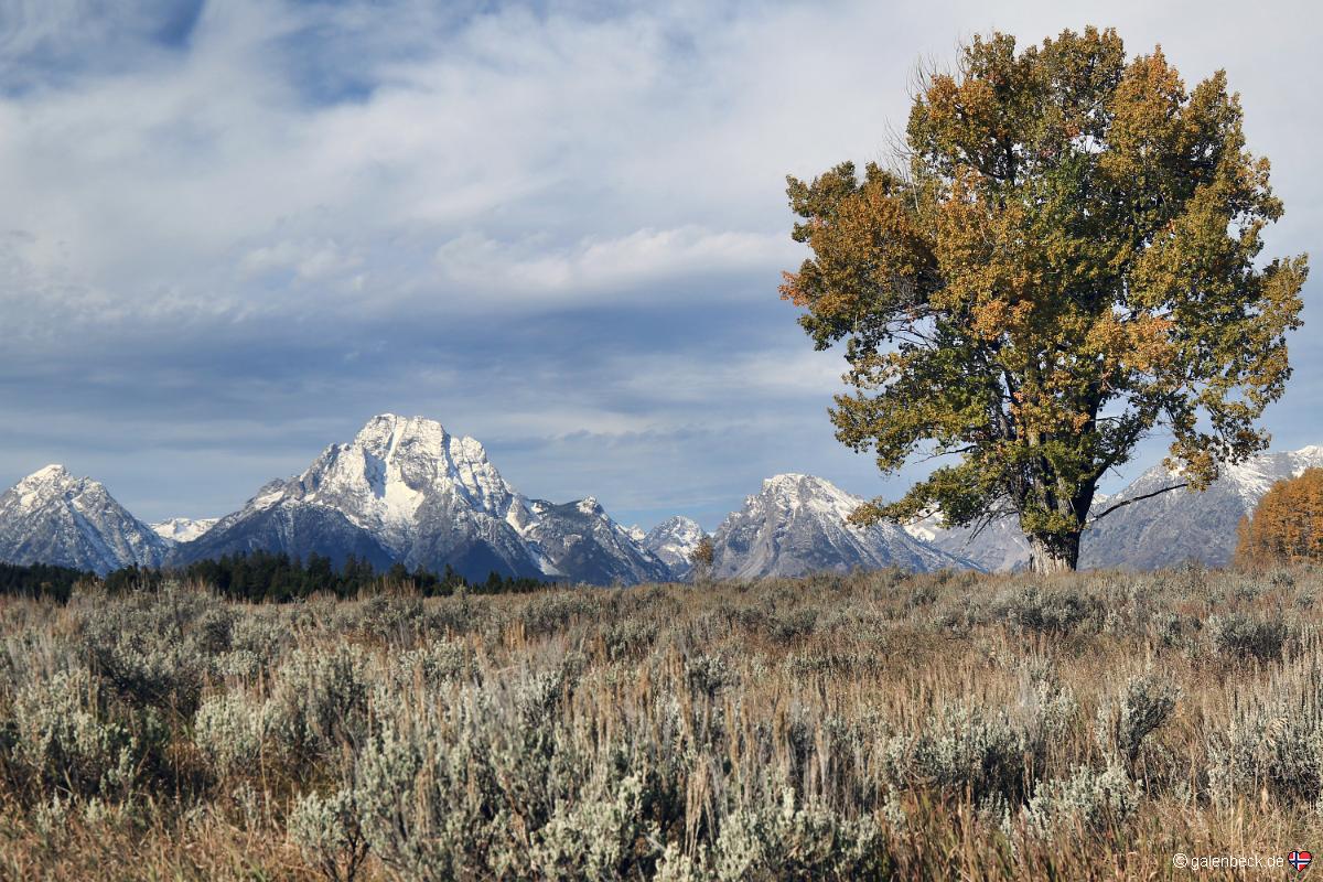Grand Teton National Park