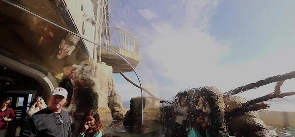 Monterey Bay Aquarium