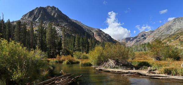 Lundy Canyon