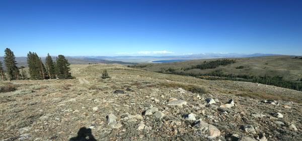 Dunderberg Meadow