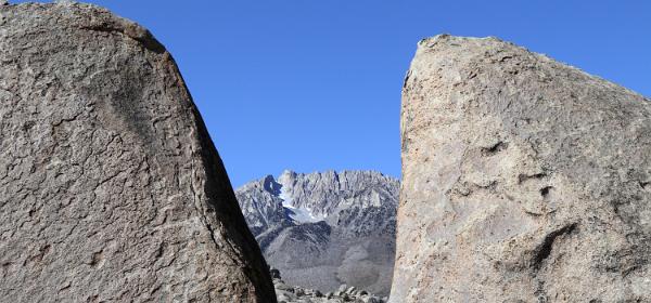 Buttermilks
