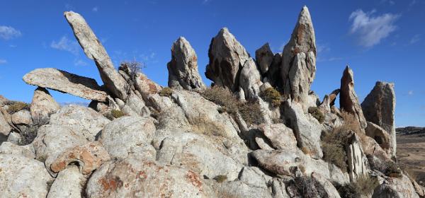 Devils Playground