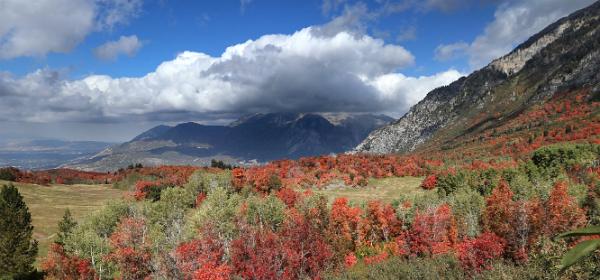 Squaw Peak Road