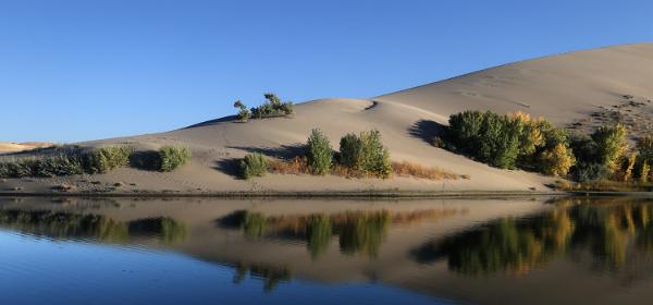 Breneau Dunes State Park