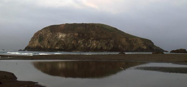 Harris Beach State Park