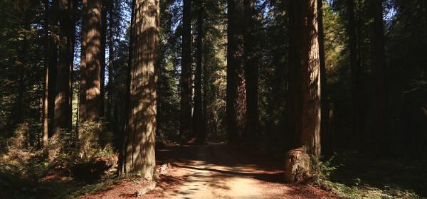 Howland Hill Road