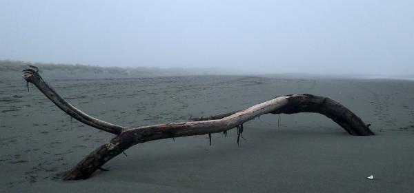 Samoa Beach