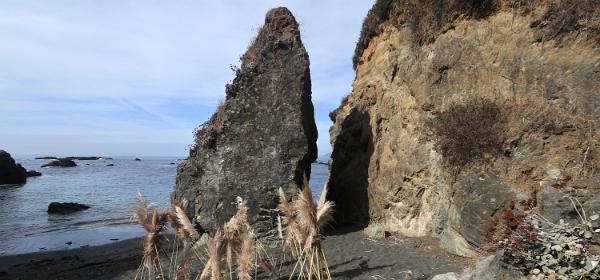 Westport Headlands Beach