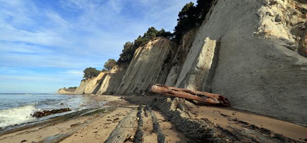 Bowling Ball Beach