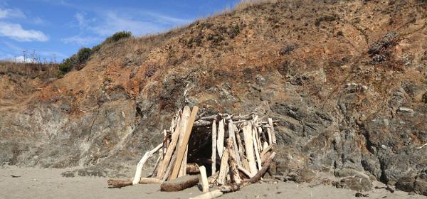 Shell Beach