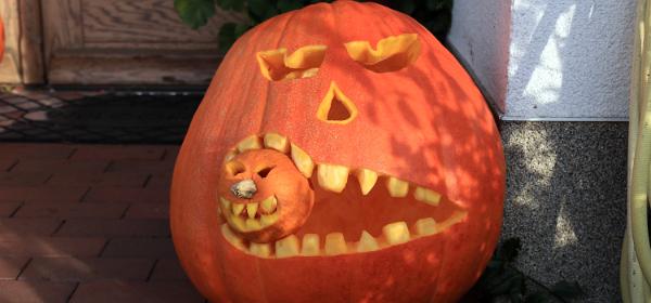 Farmer Johns Pumpkin Farm