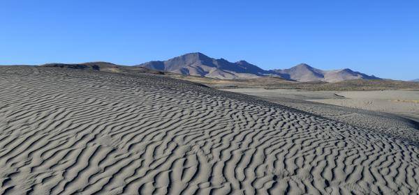 Winnemucca Dunes