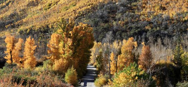 Lamoille Canyon