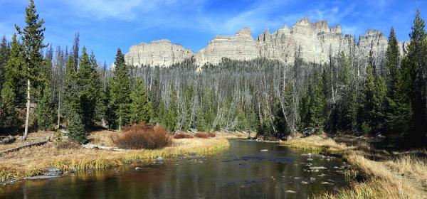 Brooks Lake