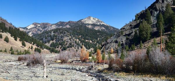 Bonanza Ghost Town