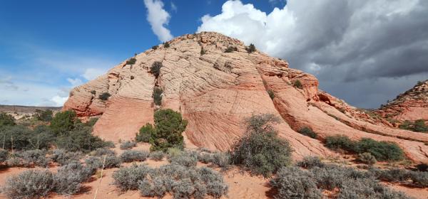Yellow Knolls