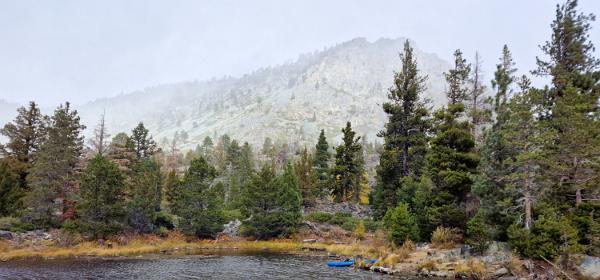 Lily Lake