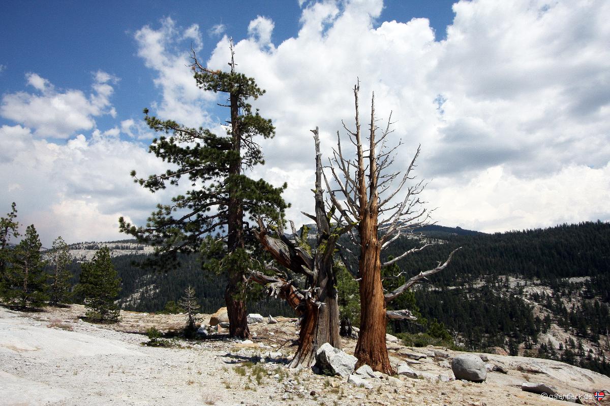 Yosemite National Park
